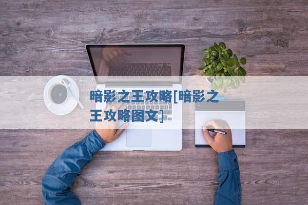 暗影之王攻略[暗影之王攻略图文]